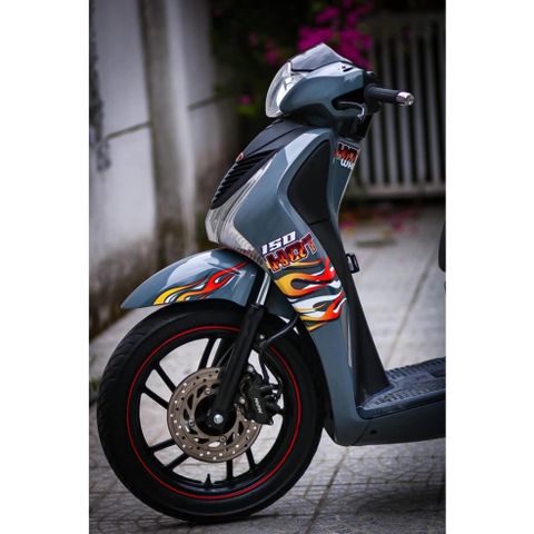 tem rời Sh  xi măng lửa 150i  2019 đẹp kiểng  ( HÓT ) , tem 3 lớp bền màu - Decal Cao Cấp Nhất
