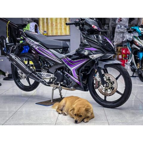 tem ròi exciter 150 đen tím mẫu exciter mx kiểng , tem 3 lớp bền màu - Decal Cao Cấp Nhất
