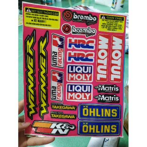 Tem Winnerl,HRC,OHLINS