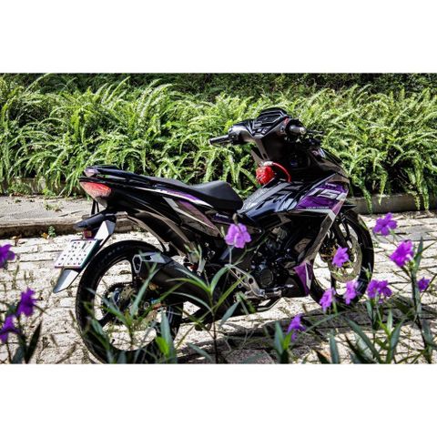 TEM MÀU TÍM DÁN XE WINNER X MÀU ĐEN TÍM - Decal Cao Cấp Nhất