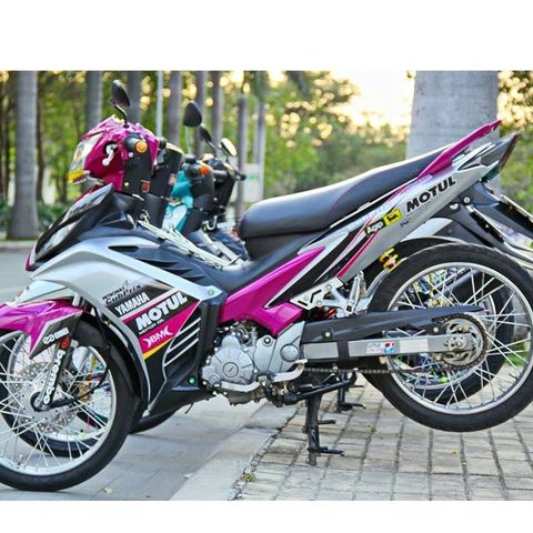 Tem Rời Ex 135 Mẫu 2011 Trắng Xám Hồng