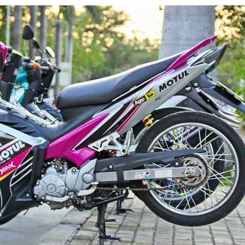 Tem Rời Ex 135 Mẫu 2011 Trắng Xám Hồng
