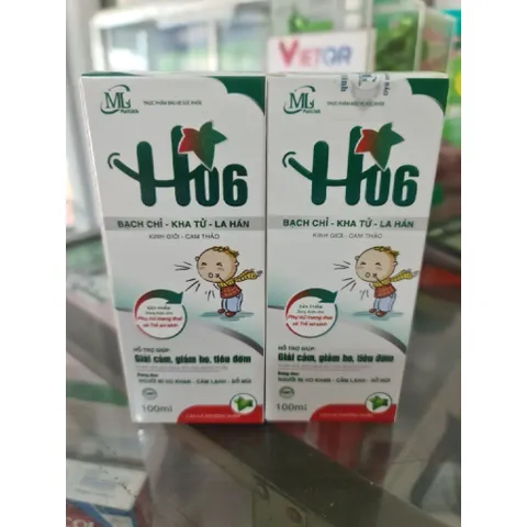 Sirô HO6 - Bạch chỉ - Kha tử - La hán dùng được trẻ SS và PNCT