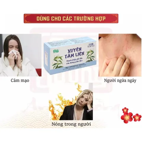 Xuyênn Tâm Liên FiTo thanh nhiệt,giải độc,cường phế (Hộp 100 viên)