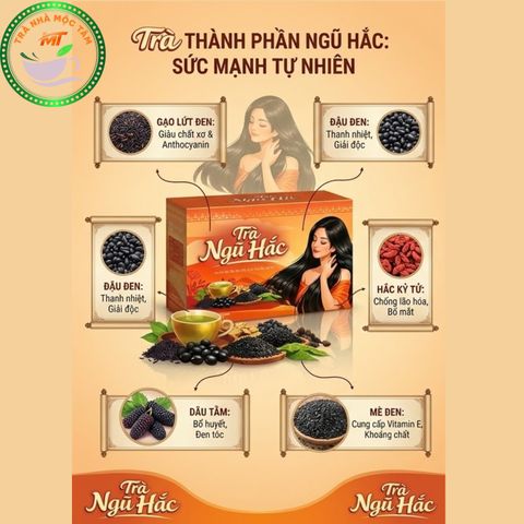 Trà Ngũ Hắc Premium- Mè Đen, Đậu Đen, Gạo Lứt Đen, Dâu Tằm, Hắc Kỉ Tử giúp bổ thận thanh lọc cơ thể, đẹp da, dưỡng tóc và làm đen tóc giúp tóc chắc khỏe ( Hộp 20 gói x 5gr)