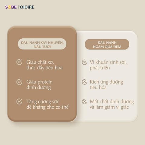 Máy làm sữa hạt Oidire ODI04A