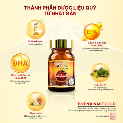 Biken Kinase Gold Hộp - Viên uống bổ não, giảm xơ vữa mạch máu, hỗ trợ phòng ngừa và phục hồi sau đột quỵ