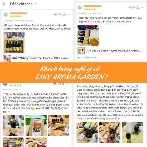 Tinh Dầu Bamboo ESKY AROMA GARDEN Tinh Dầu Xông Phòng Hương Nước Hoa Thư giãn 10ml 20ml