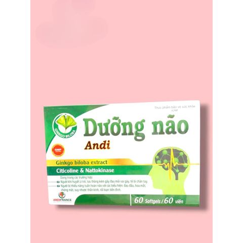 Viên uống Dưỡng Não ANDI lưu thông khí huyết,hỗ trợ giảm đau đầu mất ngủ hay quên (Hộp 60 viên)