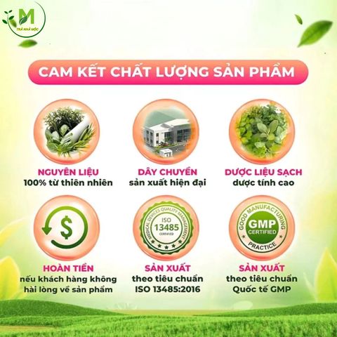 Trà Phan Tả Diệp Mộc Tâm- Hỗ Trợ Tiêu Hóa, Nhuận Tràng, Thanh Lọc Cơ Thể- Hộp 25 gói x 3,5g