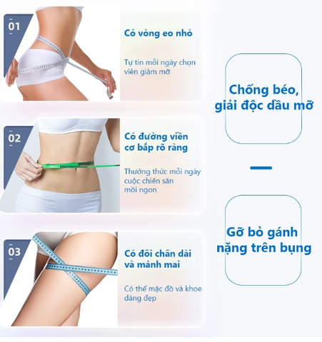 SAUSANDO viên Tảo Biển Giảm Mỡ Nhanh- Từ Nhật Bản, Hỗ Trợ Kêt Quả Ro Rêt