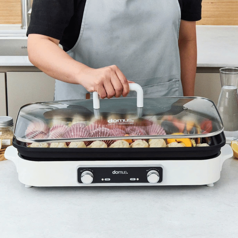 Bếp lẩu nướng 2 đĩa Dupan DP-2301