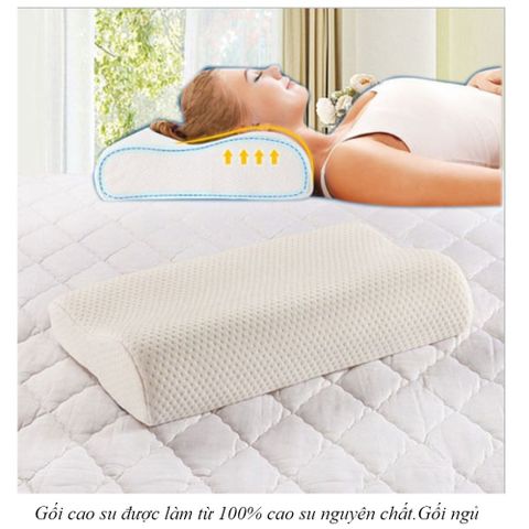 Gối cao su non tự nhiên cao cấp ZARA chữ U người lớn chống ngáy hỗ trợ giảm mỏi cổ vai gáy siêu mềm dễ chịu ngủ ngo