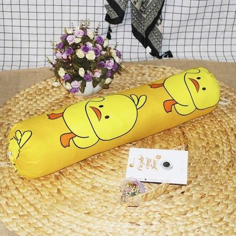 Vỏ gối ôm, áo gối cotton 30x100cm mẫu ngẫu nhiên