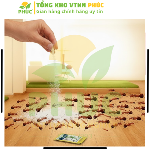 [SIÊU HIỆU QUẢ] COMBO 10 gói REGENT (gói 1.6g) DATE MỚI NHẤT, Chế phẩm diệt côn trùng đa năng diệt sạch Kiến, Gián, Muỗi, Bọ Chét, Mạt Gà, Mối, Rầy, Rệp, Bọ Trĩ, Sâu Kháng