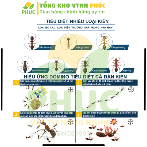 [SIÊU HIỆU QUẢ] COMBO 10 gói REGENT (gói 1.6g) DATE MỚI NHẤT, Chế phẩm diệt côn trùng đa năng diệt sạch Kiến, Gián, Muỗi, Bọ Chét, Mạt Gà, Mối, Rầy, Rệp, Bọ Trĩ, Sâu Kháng