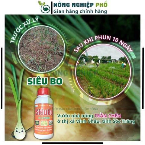Phân bón lá SiêuBo chai lớn 500ml chống rụng hoa, trái non, nứt trái, thối trái - SiêuBo bổ sung vi lượng thiết yếu
