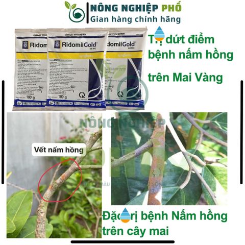 Thuốc Trừ Nấm Bệnh Thối Rễ Thán Thư Chết Nhanh Đốm Lá Cây Trồng, Hoa, Cây Kiểng Multiagro Ridomil Gold 68WP (Gói 100g)Th