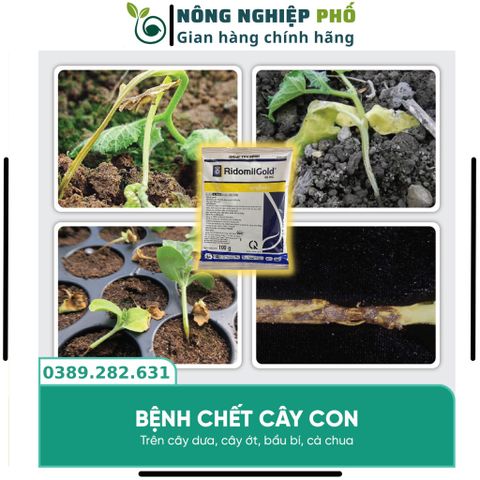 Thuốc Trừ Nấm Bệnh Thối Rễ Thán Thư Chết Nhanh Đốm Lá Cây Trồng, Hoa, Cây Kiểng Multiagro Ridomil Gold 68WP (Gói 100g)Th