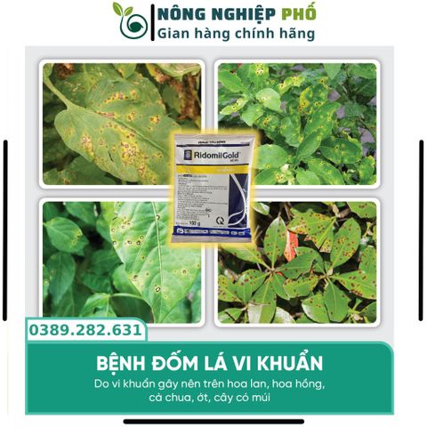 Thuốc Trừ Nấm Bệnh Thối Rễ Thán Thư Chết Nhanh Đốm Lá Cây Trồng, Hoa, Cây Kiểng Multiagro Ridomil Gold 68WP (Gói 100g)Th