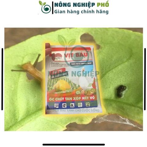 Thuốc Diệt Tất Cả Các Loại Ốc Sên, Ốc Bươu Vàng Hại Các Loại Hoa, Rau, Cây Trồng - Siêu Diệt Ốc Hiệu Quả Diệt Tận Gốc Ốc