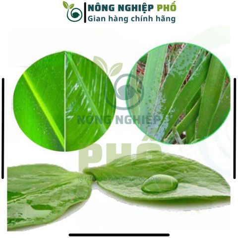 Chất Bám Dính, Tăng Hiệu Quả Thuốc BVTV Multiagro NGƯ ÔNG ĐẮC LỢI 5ml - Thẩm Thấu, Lưu Dẫn Mạnh, Giảm Bốc Hơi, Rửa Trôi