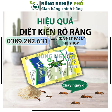 [SIÊU HIỆU QUẢ] COMBO 10 REGENT 800 (gói 1.6g) DATE MỚI NHẤT, Chế phẩm diệt côn trùng đa năng diệt sạch Kiến, Gián, Muỗi, Bọ Chét, Mạt Gà, Mối, Rầy, Rệp, Bọ Trĩ, Sâu Kháng