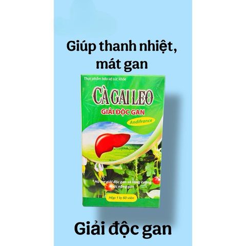 Viên uống Cà Gai Leo hỗ trợ phục hồi gan,giảm mề đay,mẩn ngứa(Chai 60 viên)