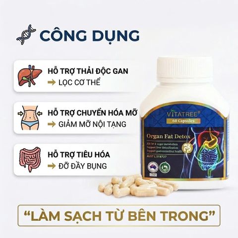 Viên Uống Giảm Mỡ Nội Tạng Vitatree Organ Fat Detox hỗ trợ tiêu hóa hỗ trợ chuyển hóa hộp 60 viên