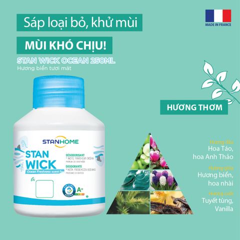 Sáp Thơm Khử Mùi Stanhome StanWick 250ml - Hương Biển Tươi Mát, Chanh Thơm, Hoa Tinh Tế - Đem Hương Xanh Ngập Tràn Không Gian Sống