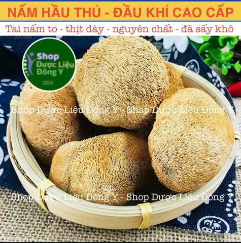 Nấm Hầu Thủ Sấy Khô 100gram - Nấm Đầu Khỉ Tự Nhiên Hỗ Trợ Tăng Cường Sức Khỏe và Giảm Stress