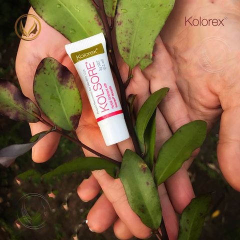 Kem hỗ trợ giảm chàm môi, loét môi, herpes môi Kolorex Kolsore Lip Care Ointment 5g