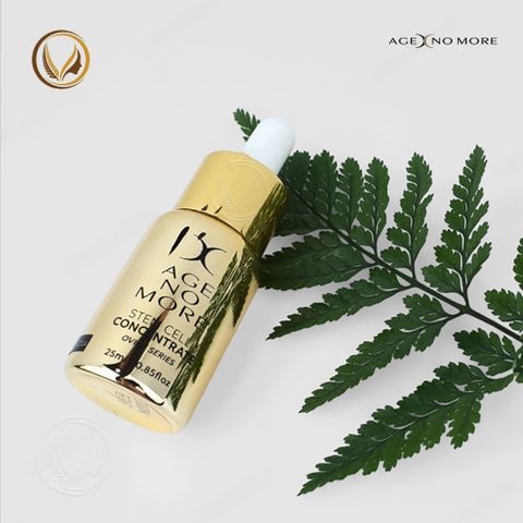 Tinh chất tế bào gốc nhau thai cừu Age No More Stem Cell Concentrate 25ml