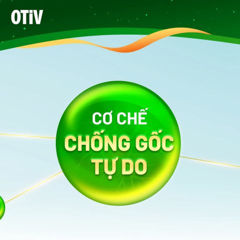 [Chính Hãng][Combo 2 Hộp 60V Tặng 1 Hộp 15 Viên] OTIV cải Thiện Đau Đầu, Mất Ngủ, Hoạt Huyết Não