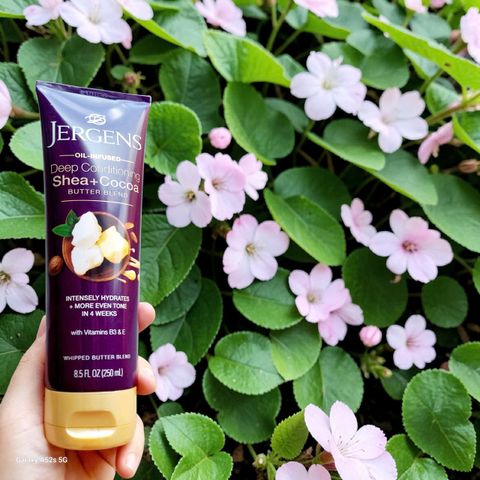 Jergens Lotion 250ml Shea Cocoa Butter Dưỡng Ẩm Nhanh