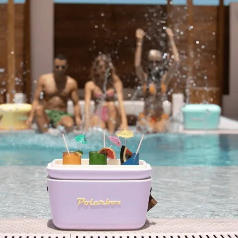 Hộp Picnic 20L Classic Lilac Yellow PolarBox