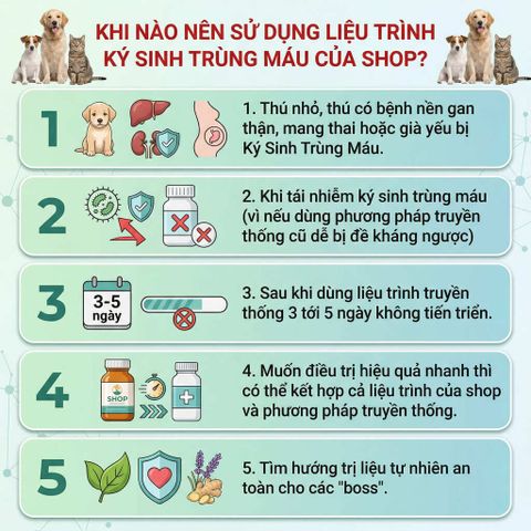 Giải pháp Ký Sinh Trùng Máu cho Chó - Tự Nhiên - An Toàn - Bao Khỏi