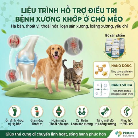 Viên bổ xương khớp VET360 cho chó mèo - Hỗ trợ loạn sản xương hông, xương chân yếu, thoát vị đĩa đệm, loãng xương - Giải pháp sức khỏe toàn diện