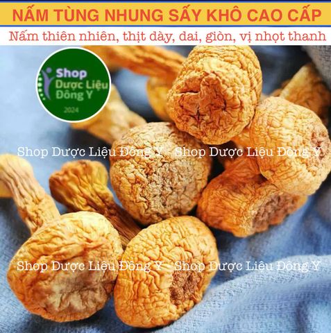 Nấm Tùng Nhung Khô 100g - Nấm Quý Tự Nhiên Dùng Trong Canh, Lẩu, Giúp Phục Hồi Sức Khỏe, An Toàn Vệ Sinh Thực Phẩm