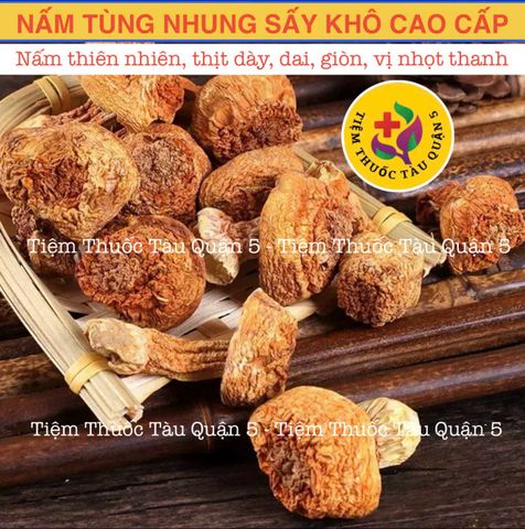 Nấm Tùng Nhung 100gram HÀNG TỰ NHIÊN (Nấm quý nấu canh dưỡng sinh, lẩu nấm, phục hồi sức khỏe) 651920