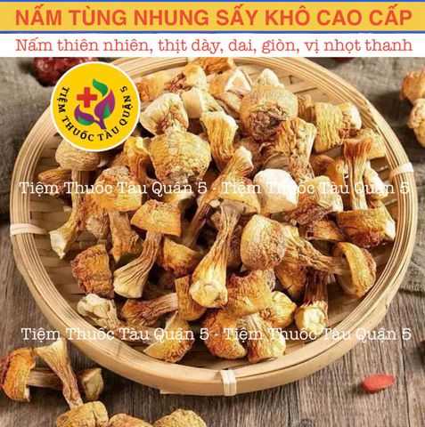 Nấm Tùng Nhung 100gram HÀNG TỰ NHIÊN (Nấm quý nấu canh dưỡng sinh, lẩu nấm, phục hồi sức khỏe) 651920
