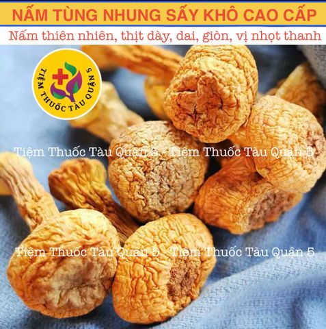 Nấm Tùng Nhung 100gram HÀNG TỰ NHIÊN (Nấm quý nấu canh dưỡng sinh, lẩu nấm, phục hồi sức khỏe) 651920