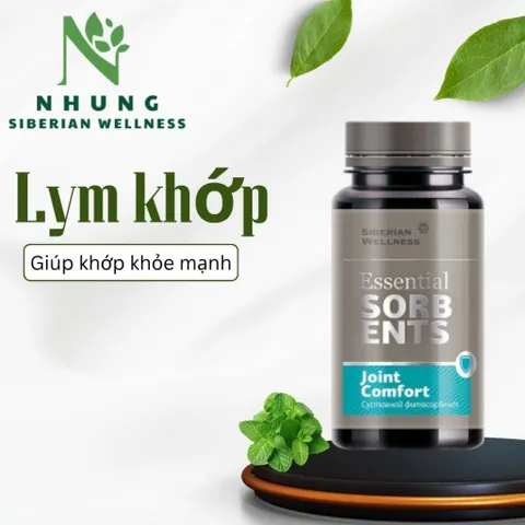 Thực phẩm Siberian Wellness  Sorbents Joint Comfort, hỗ trợ ngăn ngừa thoái hóa khớp, chai 90g