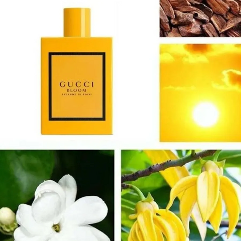 (Cao cấp) [CHIẾT] Nước Hoa Nữ Gucci Bloom Profumo Di Fiori Eau De Parfum Chính hãng