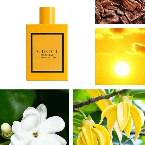 (Cao cấp) [CHIẾT - CHAI 10ML] Nước Hoa Nữ Gucci Bloom Profumo Di Fiori Eau De Parfum (EDP) Chính hãng