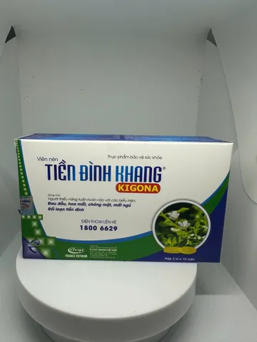 Hỗ trợ Giảm rối loạn tiền đình - Tiền Đình Khang - Hộp 30 viên