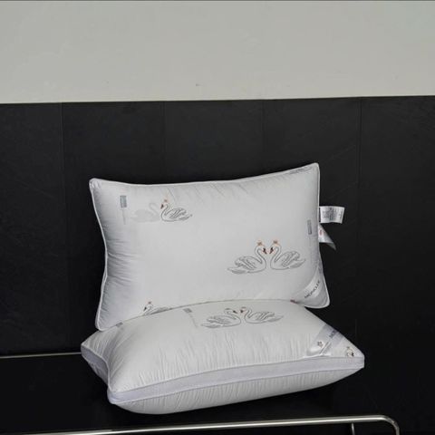 Set 2 gối Moncler size 48x74cm