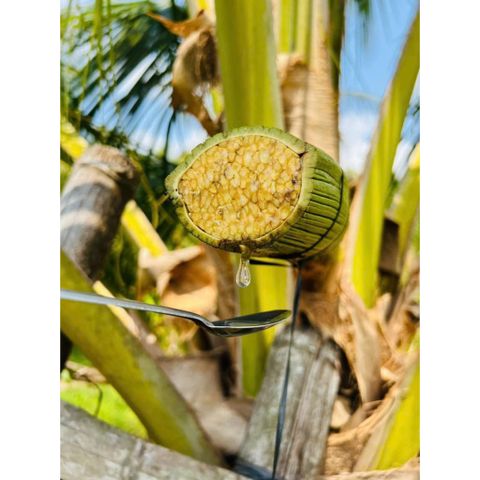 Hỏa tốc HCM - Combo 2 hộp mật hoa dừa tươi Sokfarm tiệt trùng UHT 330ml
