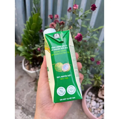 Hỏa tốc HCM - Combo 6 hộp mật hoa dừa tươi Sokfarm dòng tiệt trùng 330ml - mật hoa dừa UHT