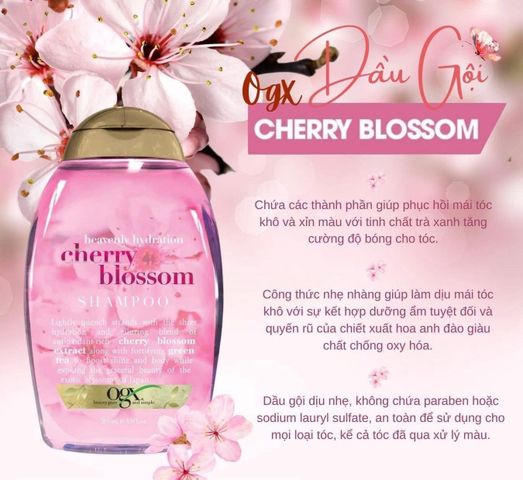 Dầu gội Biotin Cherry Blossom 385ml – làm sạch da đầu, hỗ trợ dưỡng tóc mềm mượt